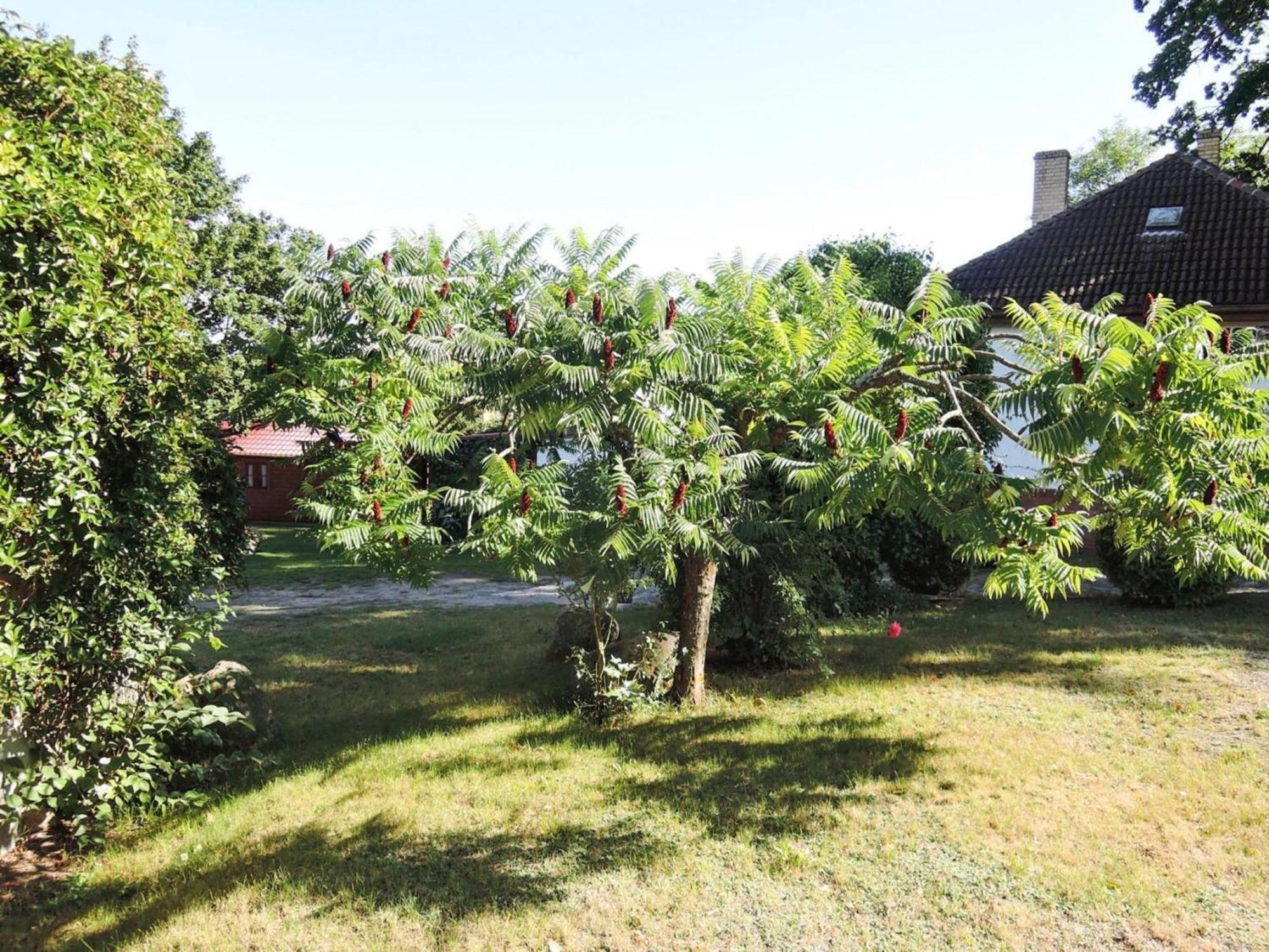 Bungalows, Lubin Lubin  Zewnętrze zdjęcie