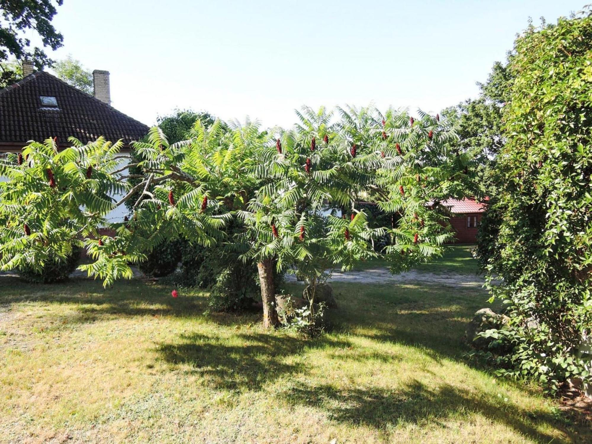 Bungalows, Lubin Lubin  Zewnętrze zdjęcie